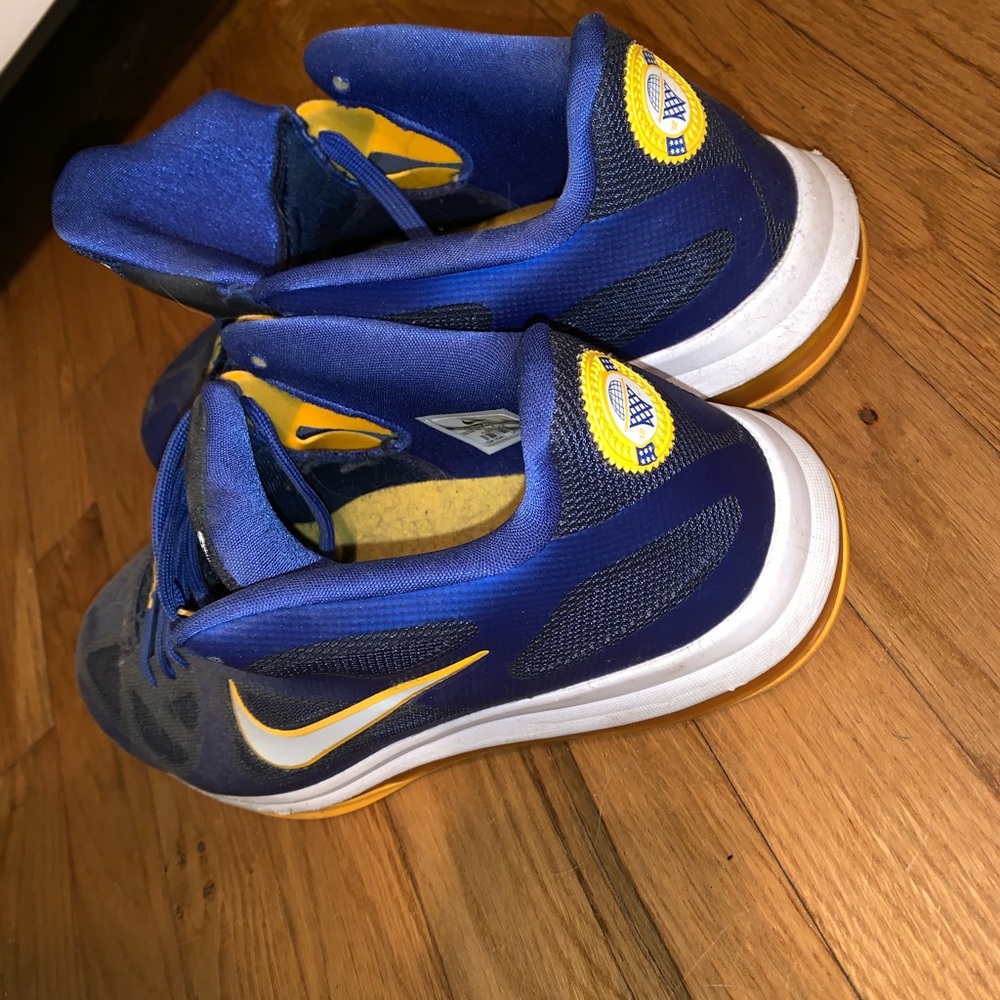 Nike Lebron 8 low Size 12